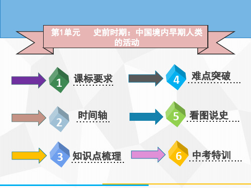 2020广东中考历史(部编版)一轮复习(课件)第1单元   史前时期：中国境内早期人类的活动(共20