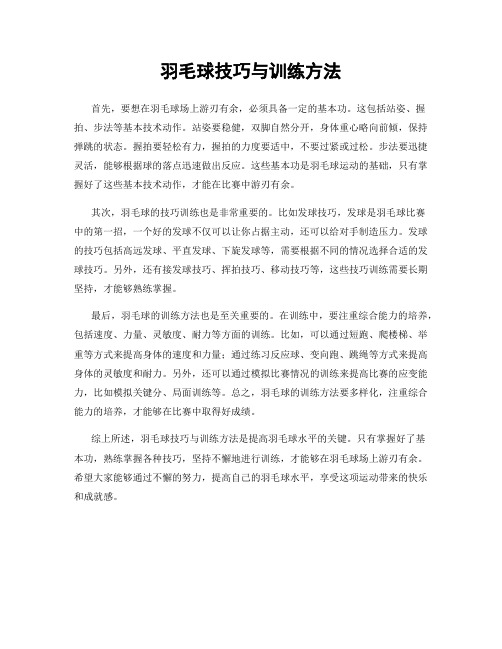 羽毛球技巧与训练方法