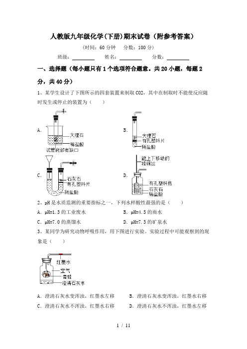 人教版九年级化学(下册)期末试卷(附参考答案)