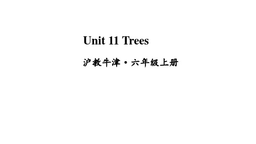 牛津上海版(三起)六年级上册英语Unit 11 Trees课件