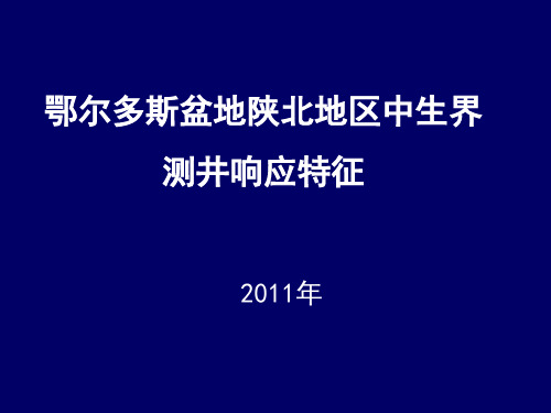 陕北测井特征PPT课件