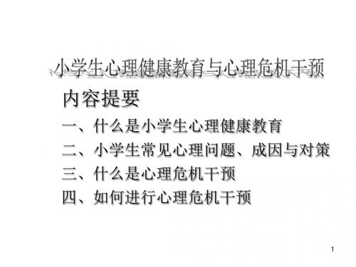 小学生心理健康教育与心理危机干预ppt课件