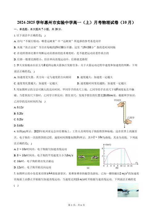 2024-2025学年广东省惠州市实验中学高一(上)月考物理试卷(10月)(含答案)