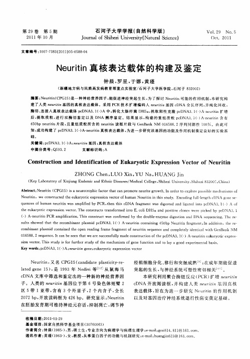 Neuritin真核表达载体的构建及鉴定