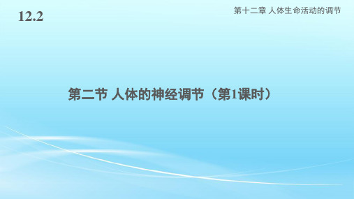 苏教版七年级生物下册12.2《人体的神经调节》课件