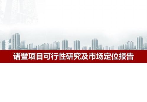 诸暨项目可行性分析及初步产品建议(2)