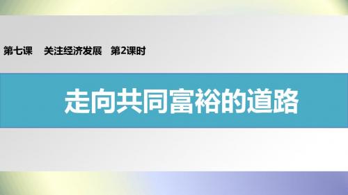 人教版九年级政治 第七课 第2课时 走向共同富裕的道路