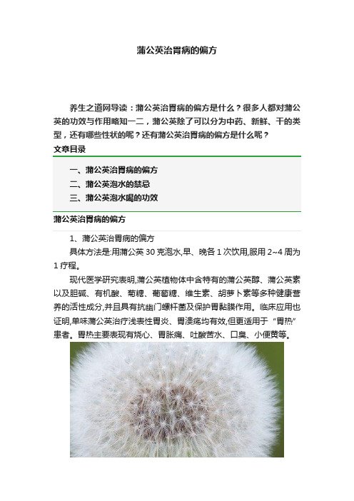 蒲公英治胃病的偏方