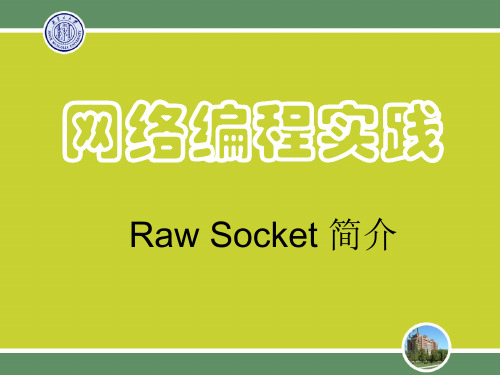 Raw Socket