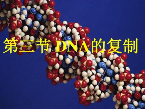 必修二生物第三章第三节 DNA的复制