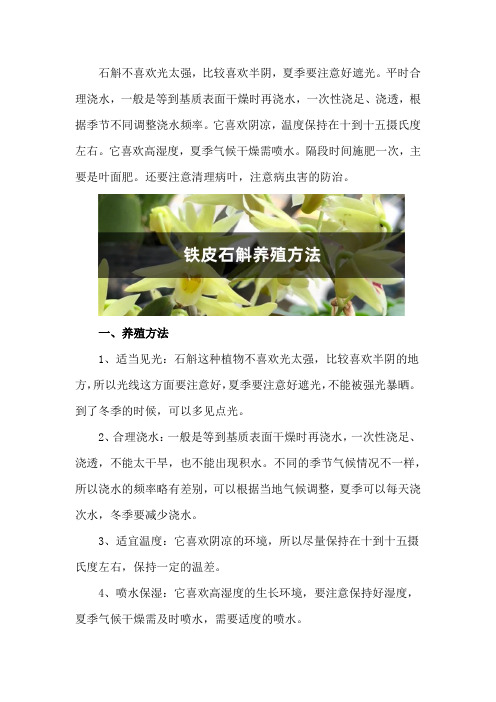 铁皮石斛养殖方法,铁皮石斛能在家里养吗