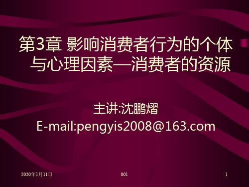 第章影响消费者行为的个体与心理因素——消费者资源PPT课件