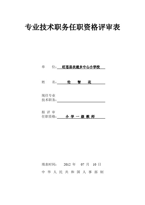 专业技术职务任职资格评审表封面