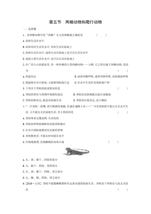 5.1.5 两栖动物和爬行动物同步练习 2021——2022学年人教版八年级生物上册