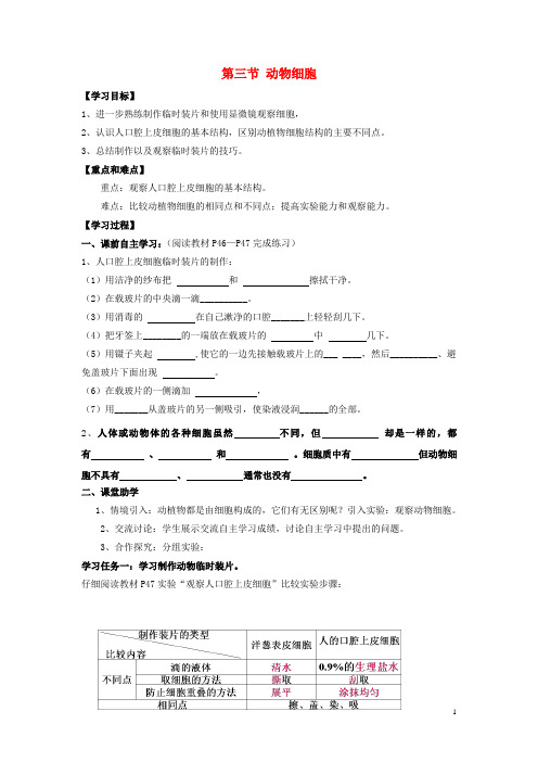 山东省泰安市岱岳区2015-2016学年七年级生物上册 2.1.3 动物细胞学案(无答案)(新版)新人教版