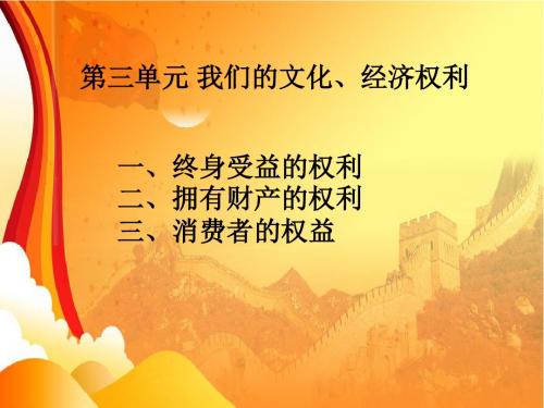 人教版八年级思品第三单元我们的文化、经济权利(共19张PPT)