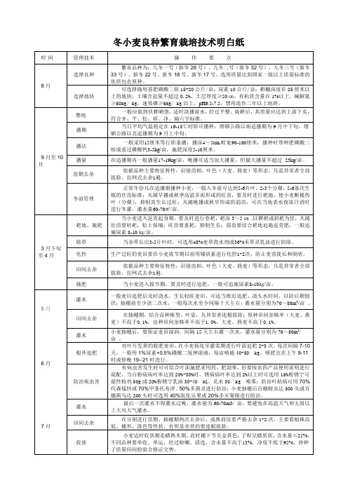 冬小麦良种繁育栽培技术月历表