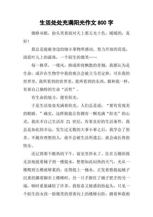 生活处处充满阳光作文800字