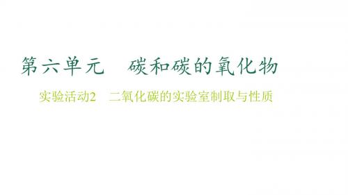 贵州省九年级化学上册6碳和碳的氧化物实验活动2二氧化