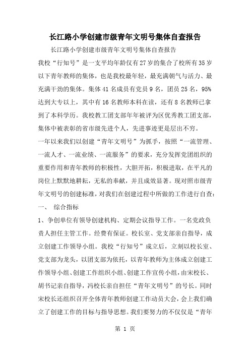 长江路小学创建市级青年文明号集体自查报告-15页精选文档