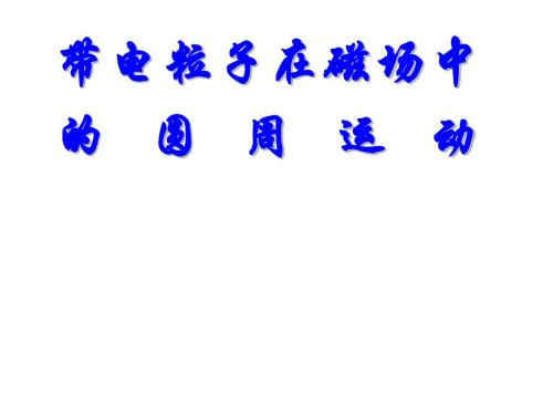 2010年高考物理带电粒子在磁场中的运动