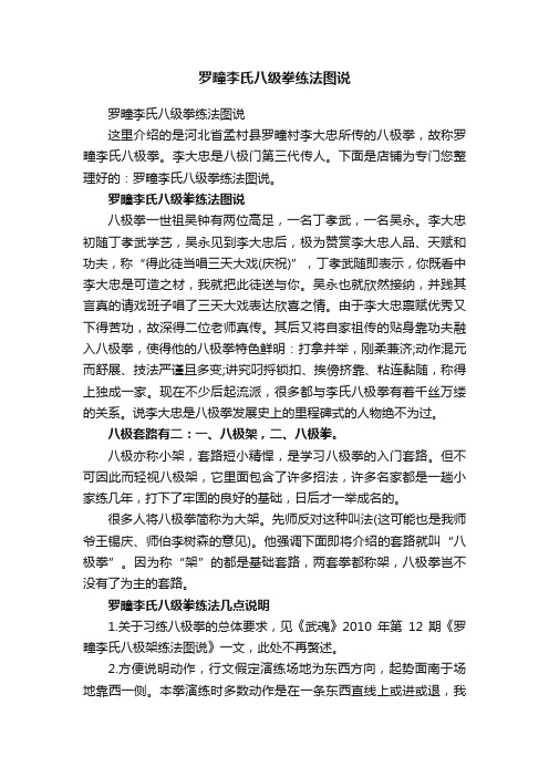 罗疃李氏八级拳练法图说