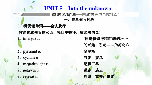 (高中外研版)UNIT 5 Into the unknown