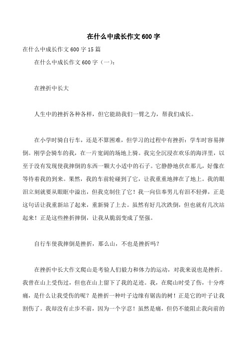 在什么中成长作文600字