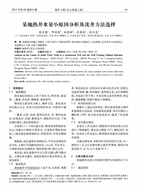 某地热井水量小原因分析及洗井方法选择