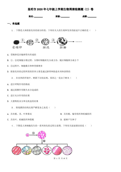 昆明市2020年七年级上学期生物周清检测题(I)卷
