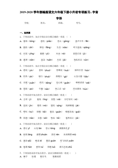 2020~2021学年语文六年级下册小升初专项练习：字音字形(答案解析)