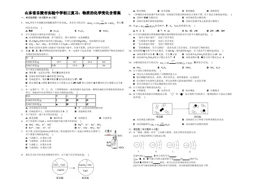 山东省乐陵市实验中学初三复习：物质的化学变化含答案