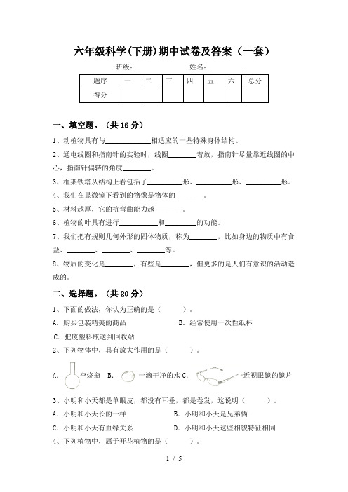 六年级科学(下册)期中试卷及答案(一套)