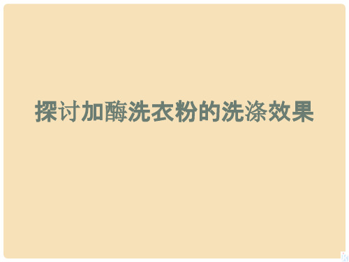 高中生物 酶的研究与应用 4.2 探讨加酶洗衣粉的洗涤效