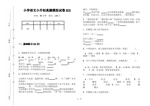 【小学教育】2019最新小学语文小升初(通用版)真题模拟试卷XC2—8K可直接打印