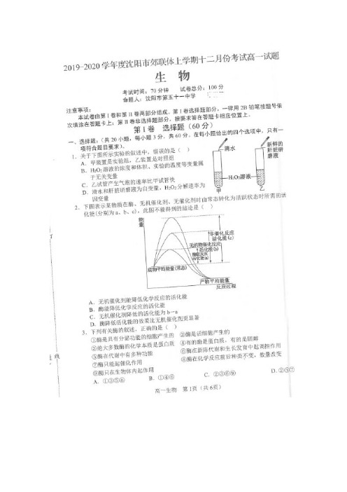 辽宁沈阳郊联体高一12月月考生物试题 扫描版含答案