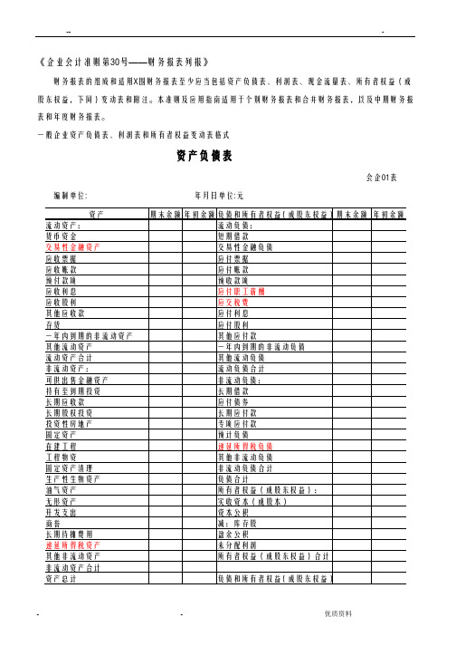 财务报表标准格式-
