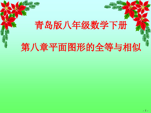 平面图形的全等与相似说课课件