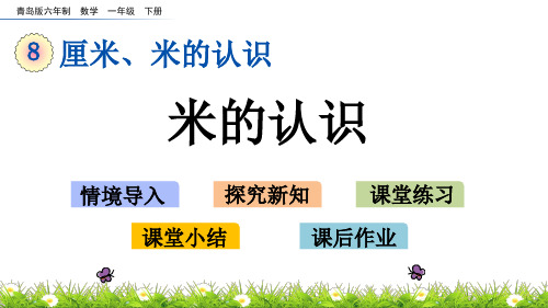 2022年青岛版(六三制)小学《米的认识》精品课件(推荐)