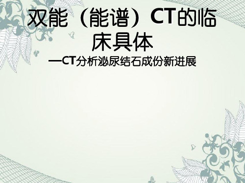 双能(能谱)CT的临床具体应用—能谱CT分析泌尿结石成份新进展