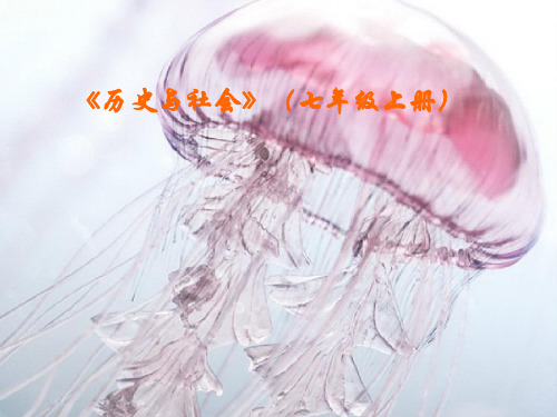 我从哪里来PPT精品课件