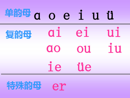 anenin课件.ppt