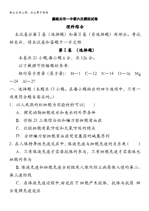 甘肃省嘉峪关市一中2011届高三第六次模拟考试理综试题(缺答案)