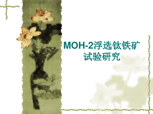 MOH-2浮选钛铁矿试验研究