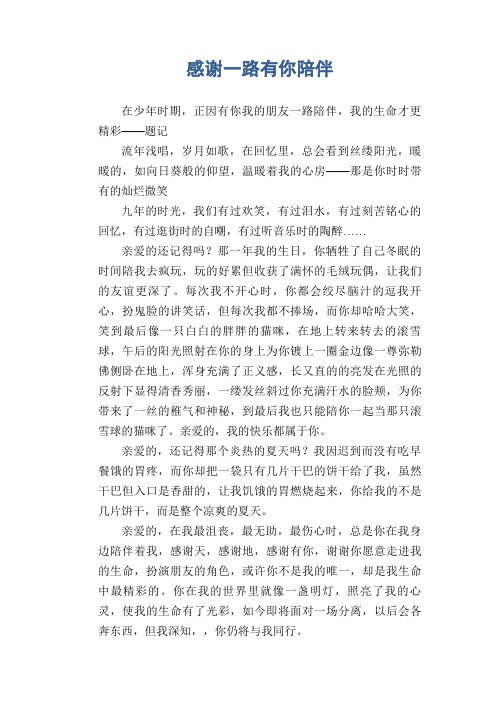 初中生优秀作文范文:感谢一路有你陪伴