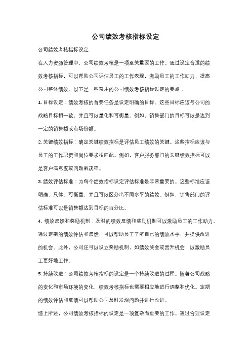 公司绩效考核指标设定