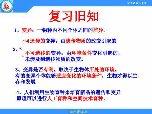 第二章第三节遗传病与优生课件