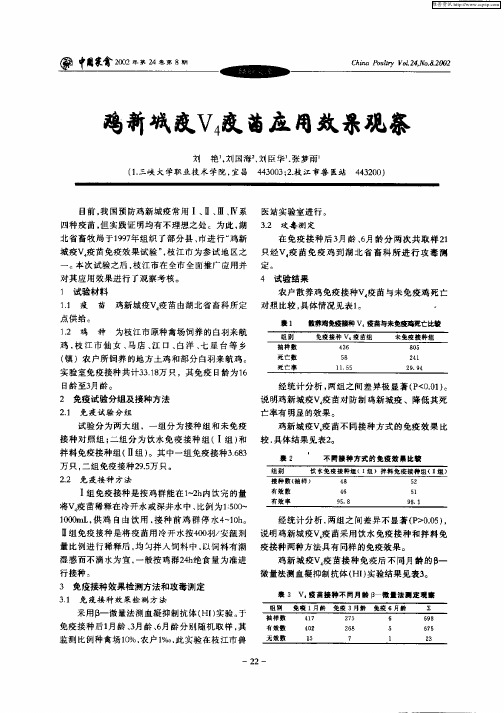 鸡新城疫V4疫苗应用效果观察