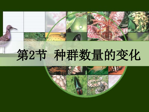 人教生物必修种群数量的变化_-ppt精品课件