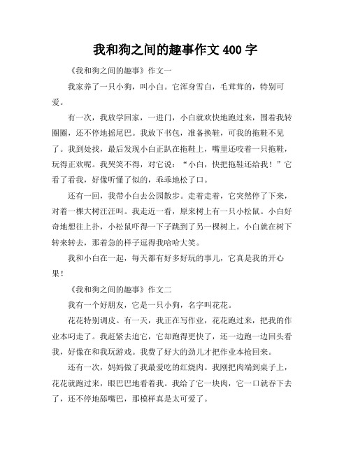 我和狗之间的趣事作文400字